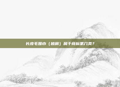 长皮毛围巾（披肩）属于商标第几类？