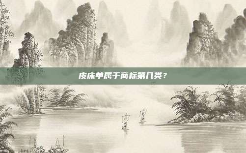 皮床单属于商标第几类？