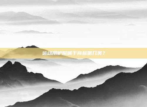 运动用护腕属于商标第几类？