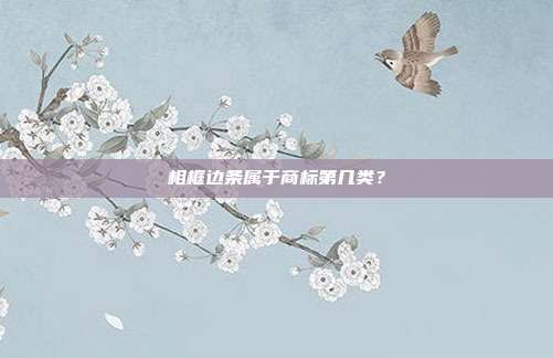 相框边条属于商标第几类？