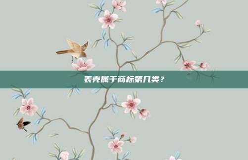表壳属于商标第几类?