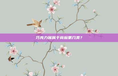 巧克力酱属于商标第几类?