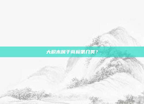 大积木属于商标第几类？