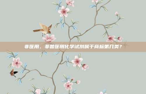 非医用、非兽医用化学试剂属于商标第几类？