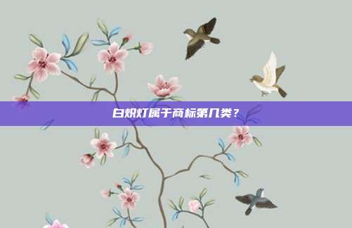 白炽灯属于商标第几类？