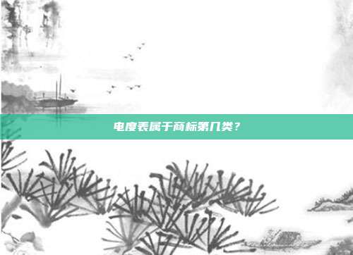 电度表属于商标第几类?