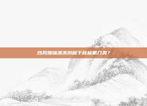 挡风玻璃清洗剂属于商标第几类?
