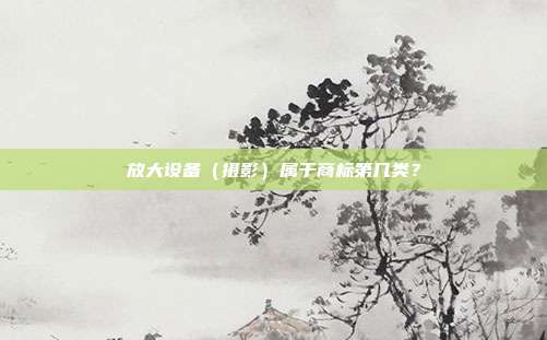 放大设备(摄影)属于商标第几类?