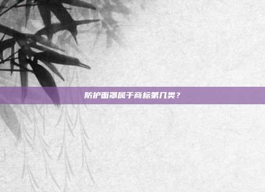 防护面罩属于商标第几类？