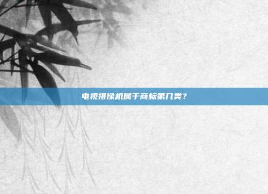 电视摄像机属于商标第几类?