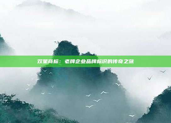 双星商标:老牌企业品牌标识的传奇之旅