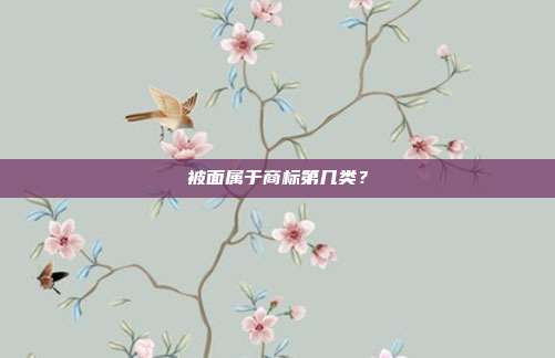 被面属于商标第几类？