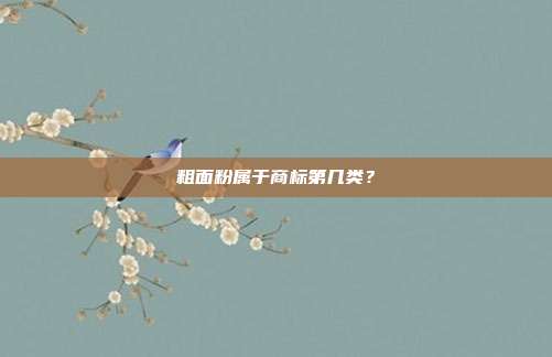 粗面粉属于商标第几类？