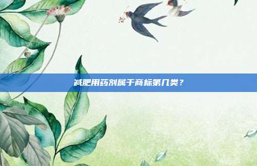 减肥用药剂属于商标第几类？