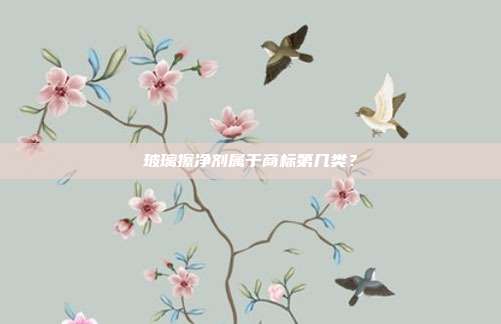 玻璃擦净剂属于商标第几类?