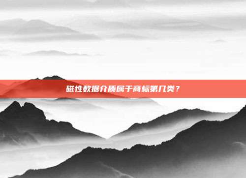 磁性数据介质属于商标第几类?