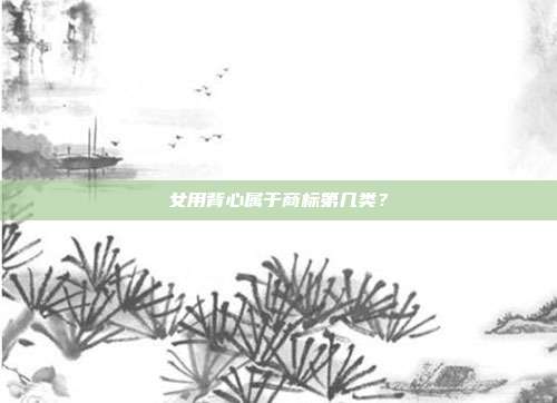 女用背心属于商标第几类？