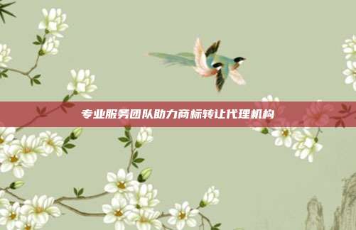 专业服务团队助力商标转让代理机构