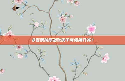 非医用按摩凝胶属于商标第几类？