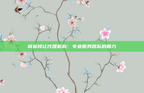 商标转让代理机构:专业服务团队的魅力
