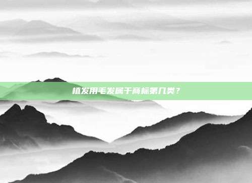植发用毛发属于商标第几类?