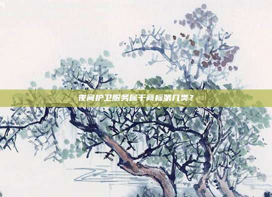 夜间护卫服务属于商标第几类？