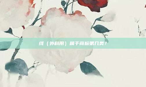 线（外科用）属于商标第几类？