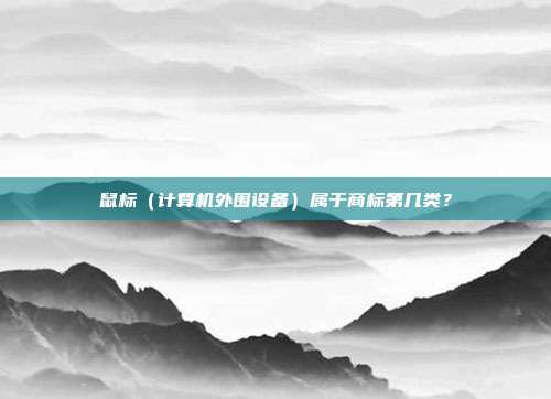 鼠标（计算机外围设备）属于商标第几类？