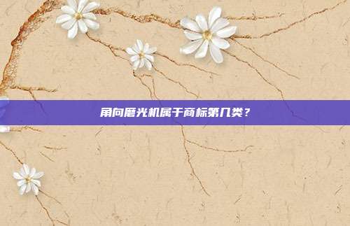角向磨光机属于商标第几类?