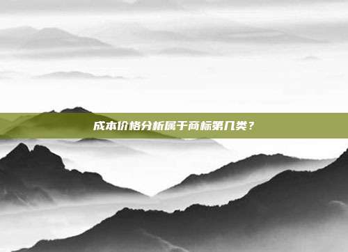 成本价格分析属于商标第几类?