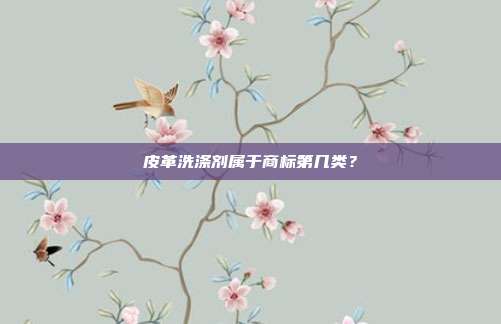皮革洗涤剂属于商标第几类?