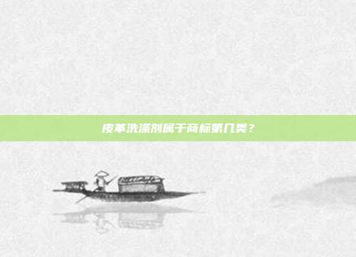 皮革洗涤剂属于商标第几类?