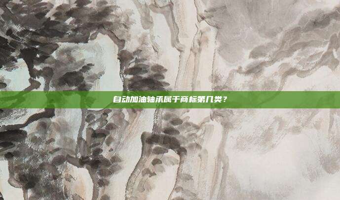 自动加油轴承属于商标第几类？