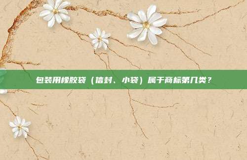 包装用橡胶袋（信封、小袋）属于商标第几类？