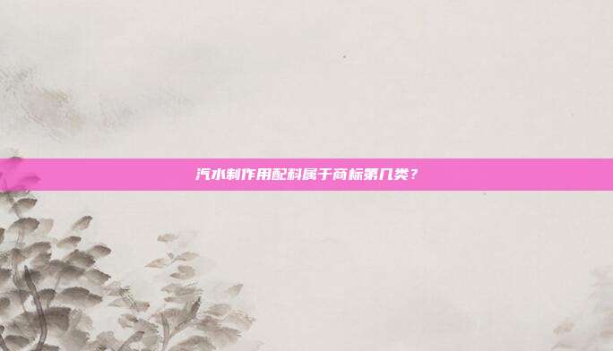 汽水制作用配料属于商标第几类?
