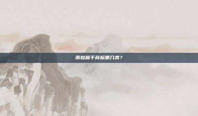 雨鞋属于商标第几类？