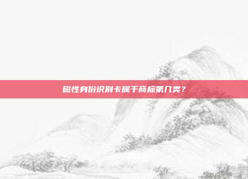 磁性身份识别卡属于商标第几类？