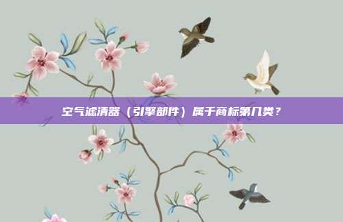 空气滤清器(引擎部件)属于商标第几类?