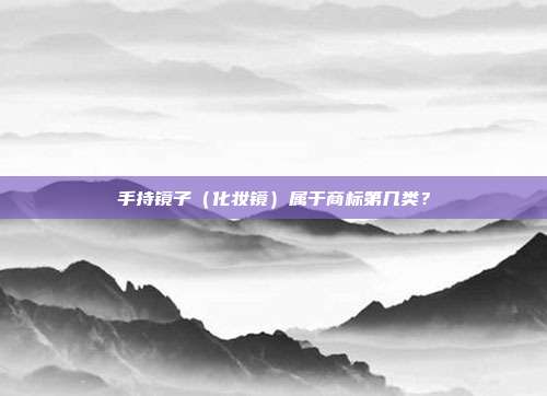 手持镜子(化妆镜)属于商标第几类?