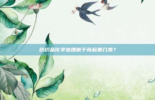 纺织品化学处理属于商标第几类?