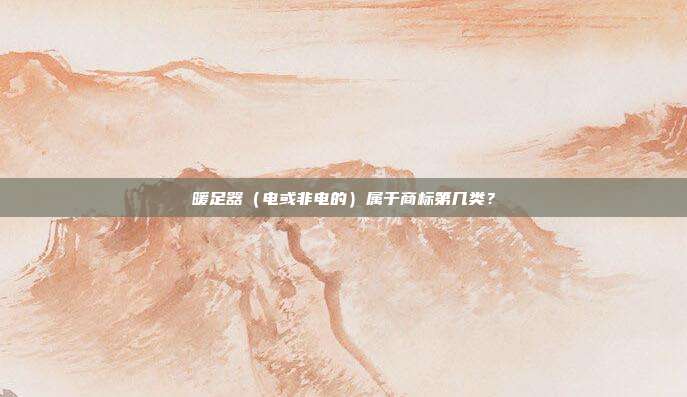 暖足器(电或非电的)属于商标第几类?