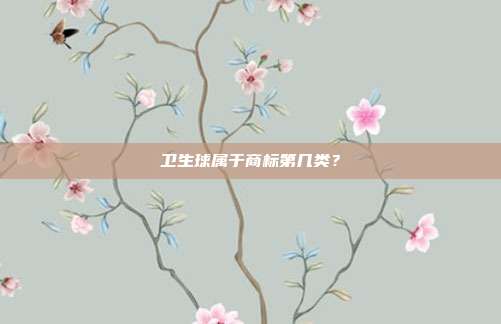 卫生球属于商标第几类?