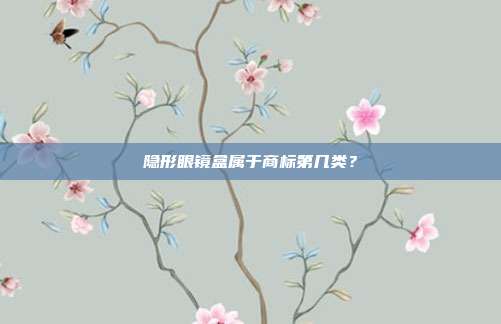 隐形眼镜盒属于商标第几类?
