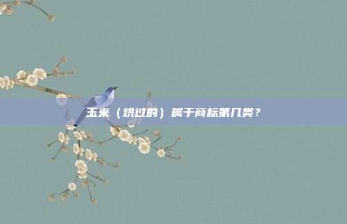 玉米(烘过的)属于商标第几类?