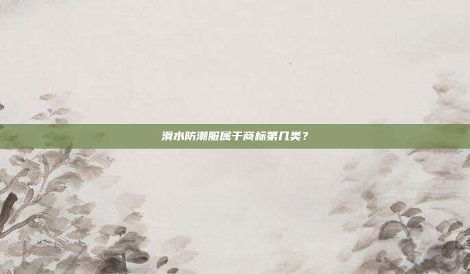 滑水防潮服属于商标第几类？