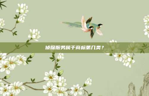 侦探服务属于商标第几类？