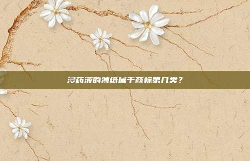 浸药液的薄纸属于商标第几类?