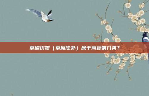 草编织物(草席除外)属于商标第几类?