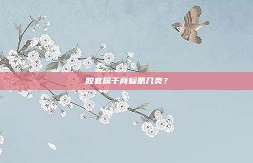 胶套属于商标第几类?
