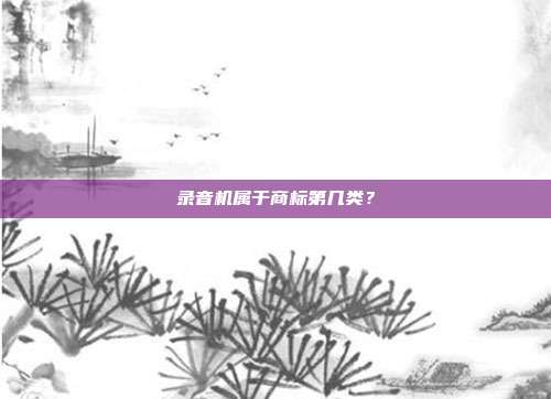录音机属于商标第几类？